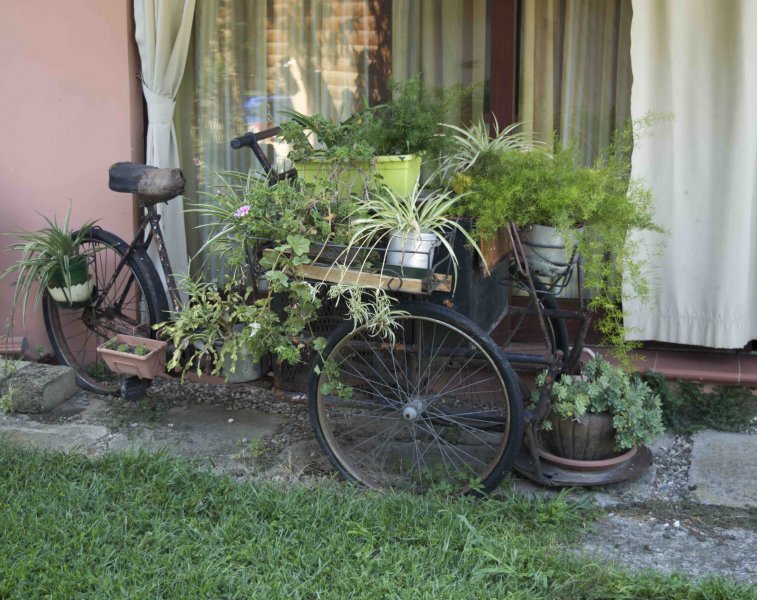 Bicicletta vaso fiori