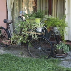 Bicicletta vaso fiori