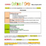 Fronte