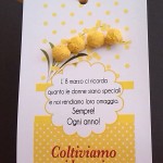 Confezione regalo 3 bulbi da coltivare