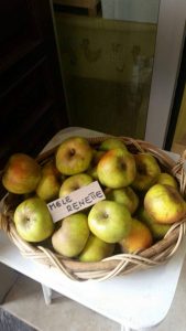 Mele Renette Spesa km 0 Orzinuovi Brescia