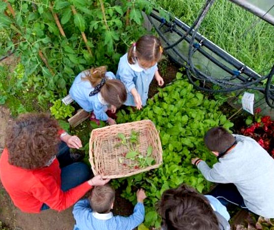 Orto didattico per bambini Cascina Balcarino Brescia