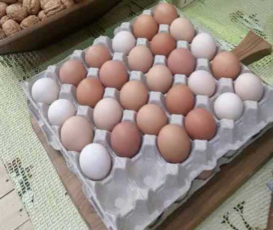 Uova di galline allevate a terra della Bottega del Contadino